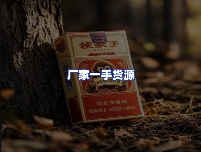 专业团队
